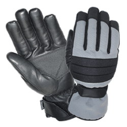 Ski Gloves